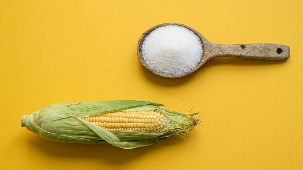 corn and sugar